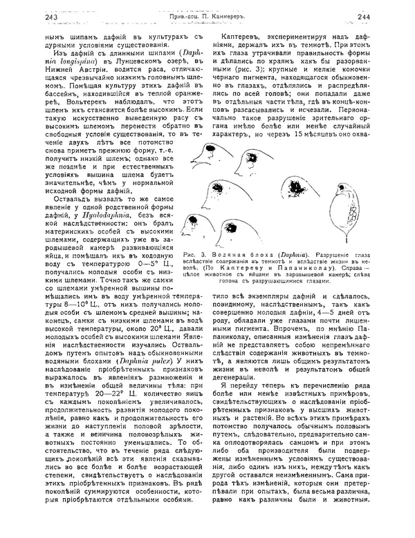 КулЛиб.   журнал Природа - Природа 1912 №02. Страница № 52