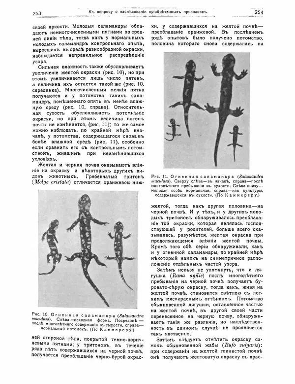 КулЛиб.   журнал Природа - Природа 1912 №02. Страница № 57