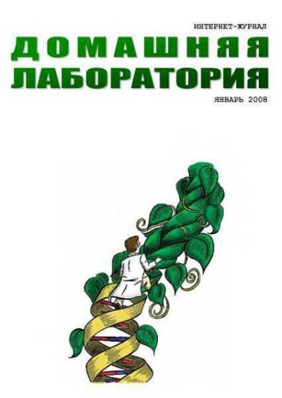 Интернет-журнал "Домашняя лаборатория", 2008 №1 (fb2)