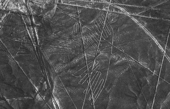 Наска: гигантские рисунки на полях. Андрей Скляров. Иллюстрация 46