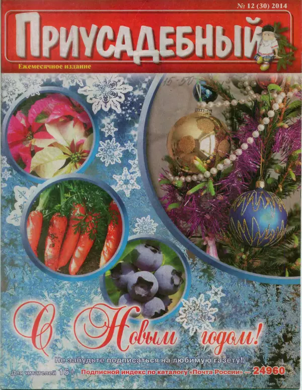 КулЛиб.   журнал Приусадебный - Приусадебный 2014 №12(30). Страница № 1