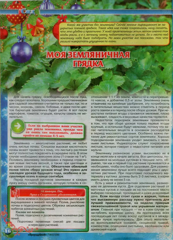 КулЛиб.   журнал Приусадебный - Приусадебный 2014 №12(30). Страница № 16