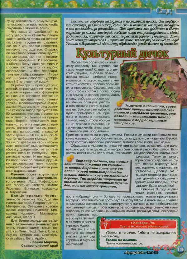 КулЛиб.   журнал Приусадебный - Приусадебный 2014 №12(30). Страница № 19