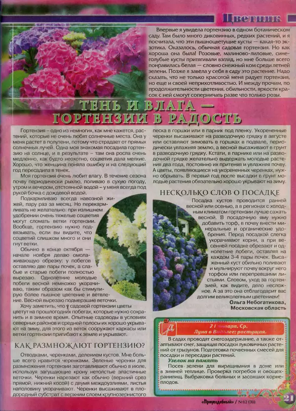 КулЛиб.   журнал Приусадебный - Приусадебный 2014 №12(30). Страница № 21