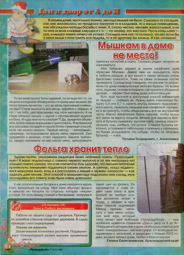 КулЛиб.   журнал Приусадебный - Приусадебный 2014 №12(30). Страница № 24