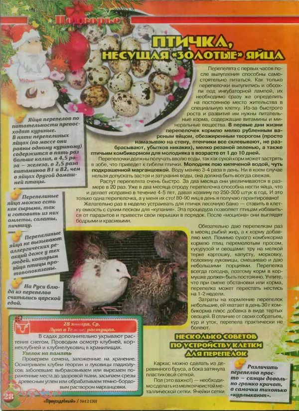 КулЛиб.   журнал Приусадебный - Приусадебный 2014 №12(30). Страница № 28