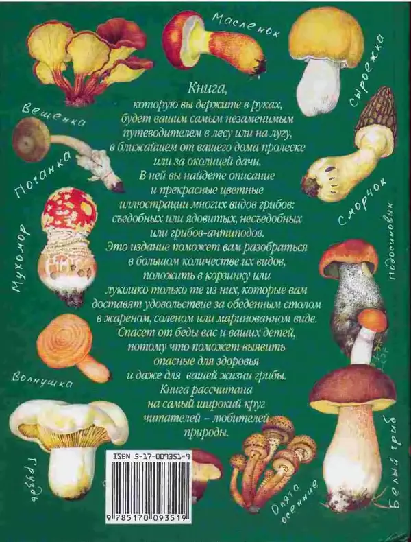КулЛиб. А. В. Юдин - Большой определитель грибов. Страница № 256