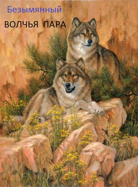 Волчья пара (fb2)