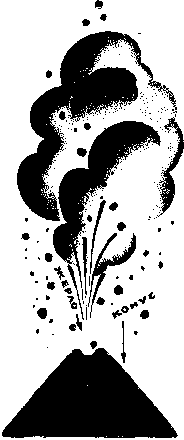 Большой дом человечества. Анатолий Маркуша. Иллюстрация 9