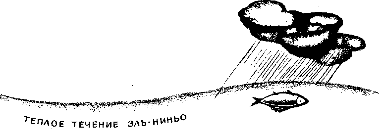 Большой дом человечества. Анатолий Маркуша. Иллюстрация 307