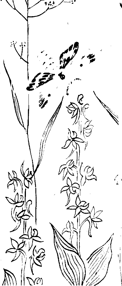 Большой дом человечества. Анатолий Маркуша. Иллюстрация 328