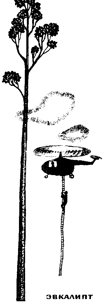 Большой дом человечества. Анатолий Маркуша. Иллюстрация 339