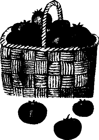 Большой дом человечества. Анатолий Маркуша. Иллюстрация 523