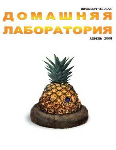 Интернет-журнал "Домашняя лаборатория", 2008 №4 (fb2)