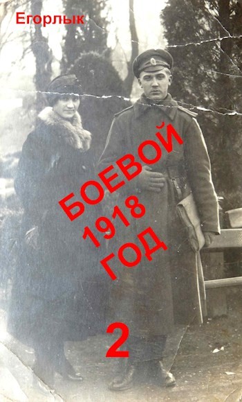 Боевой 1918 год 2 (fb2)