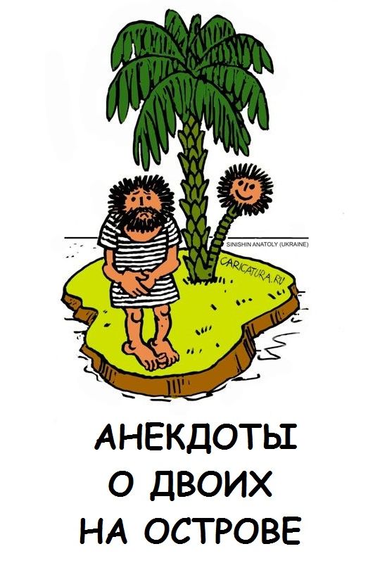 Анекдоты о двоих на острове (fb2)