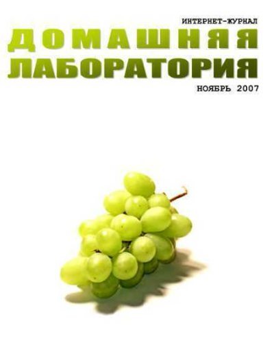 Интернет-журнал "Домашняя лаборатория", 2007 №11 (fb2)