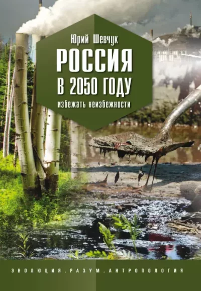 Россия в 2050 году. Избежать неизбежности (epub)