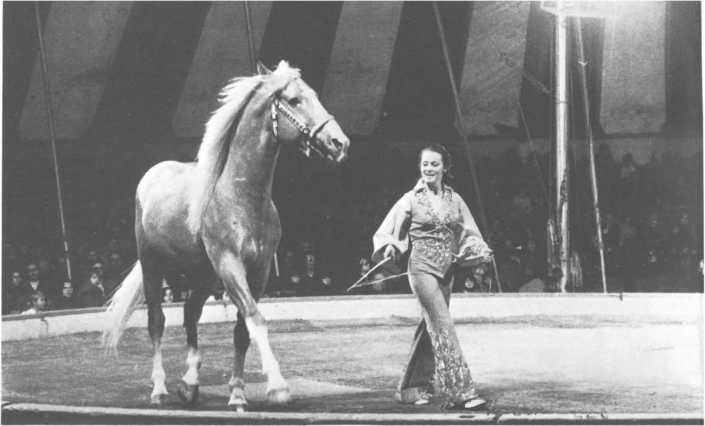 История мирового цирка [Домини Жандо] (fb2) читать онлайн | КулЛиб  электронная библиотека