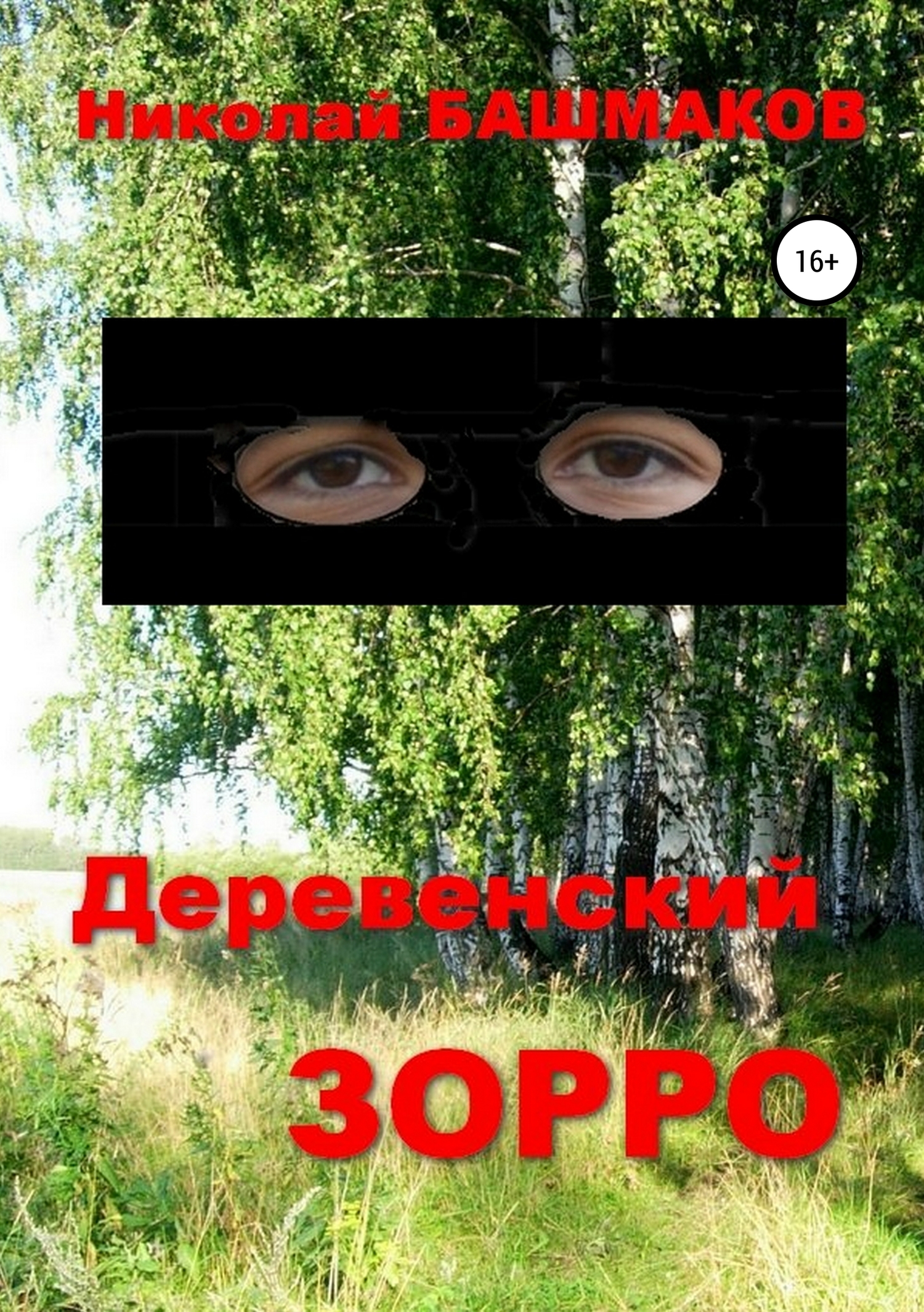 Деревенский Зорро (fb2)
