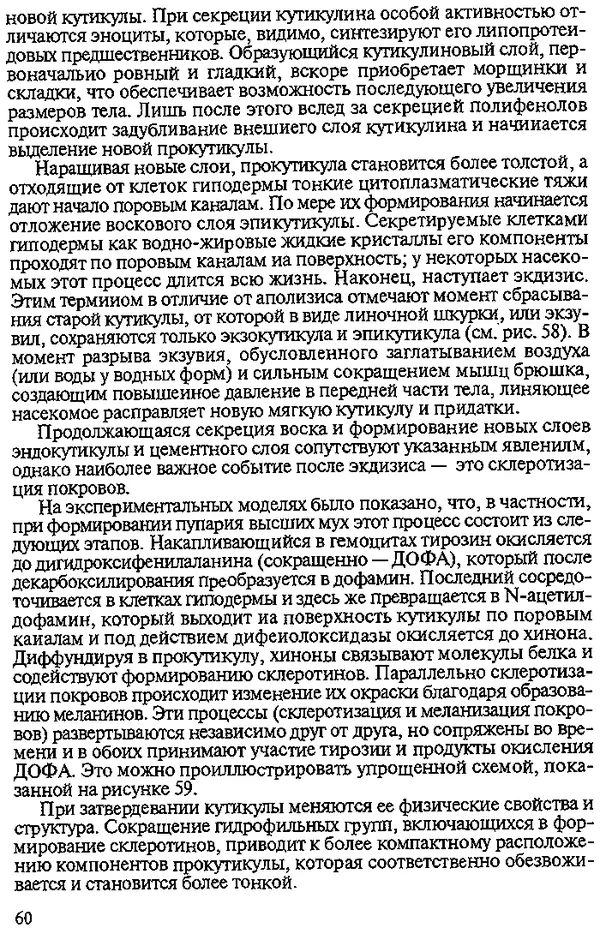 КулЛиб. Юрий Алексеевич Захваткин - Курс общей энтомологии. Страница № 60