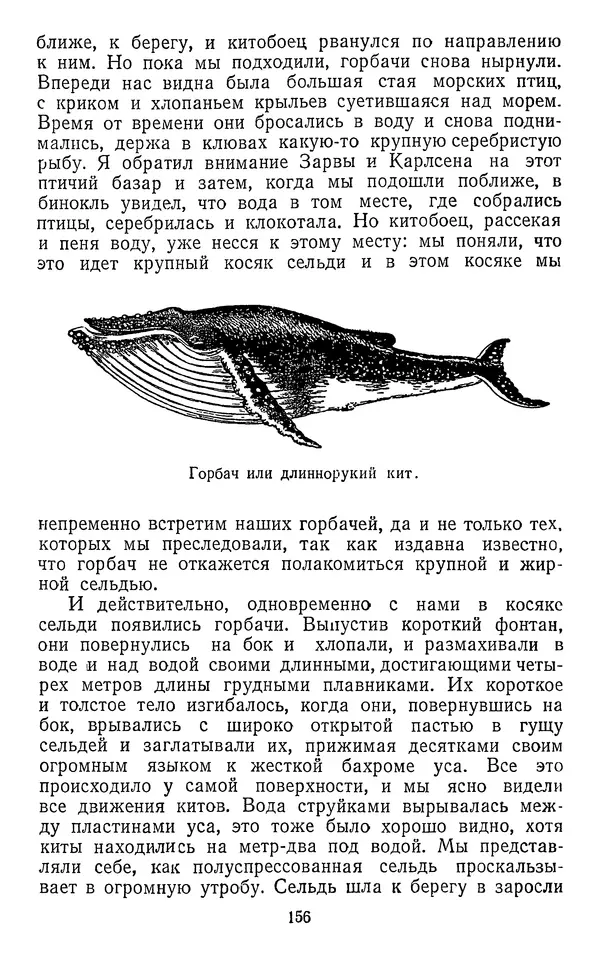 КулЛиб. Борис Александрович Зенкович - Вокруг света за китами. Страница № 167