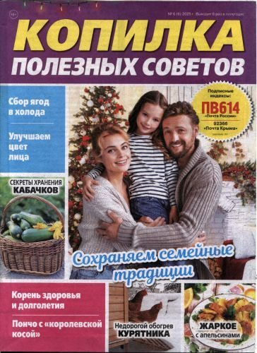 Копилка полезных советов 2025 №6(6) (pdf)
