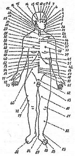 13 точка человека. Жизненные точки на теле человека. Жизненно важные точки человеческого тела. Анатомические точки на теле человека. Анатомия человека жизненно важные точки.