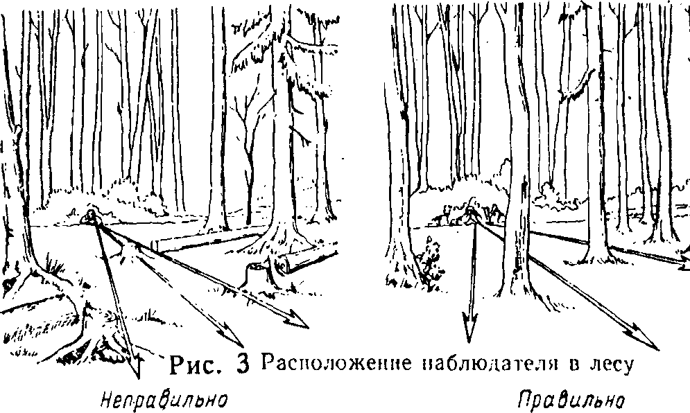 Ниндзютсу. Виктор Попенко. Иллюстрация 66
