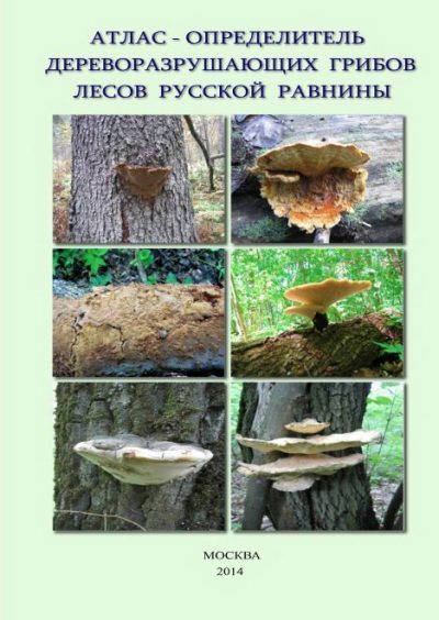 Атлас-определитель дереворазрушающих грибов лесов Русской равнины (djvu)