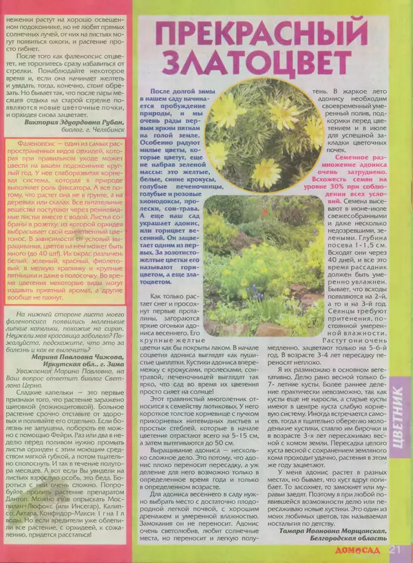 КулЛиб.   журнал Дом и сад для души - Дом и сад для души 2013 №03(63). Страница № 21