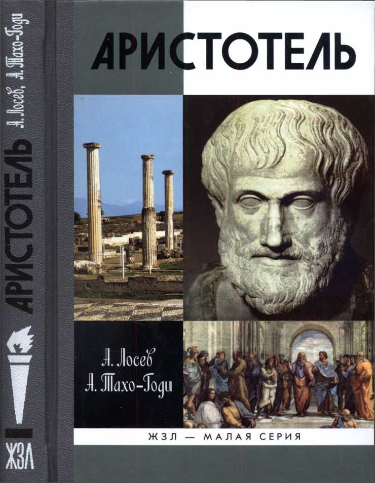 Аристотель. В поисках смысла (fb2)