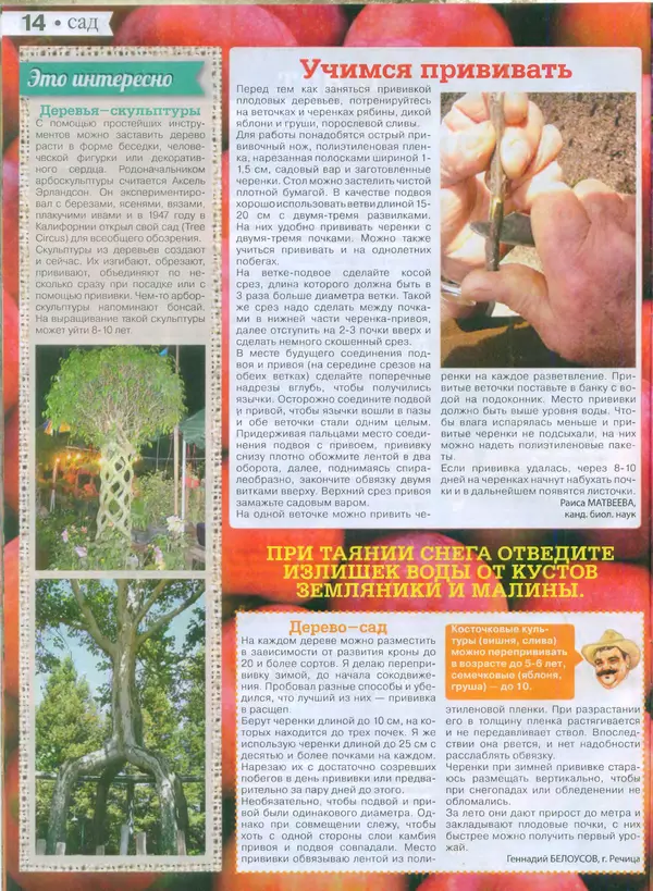 КулЛиб.   журнал Сваты на даче - Сваты на даче 2015 №2(02). Страница № 14