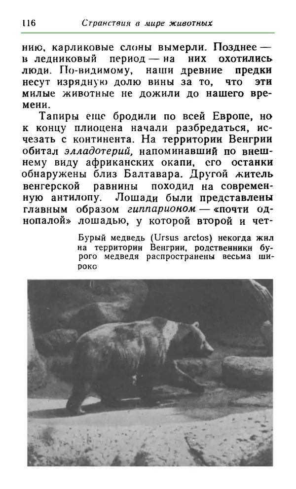 КулЛиб. Хенрик  Фаркаш - Странствия в мире животных. Страница № 117