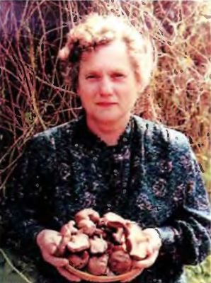 Иллюстрация № 1 читать онлайн КулЛиб